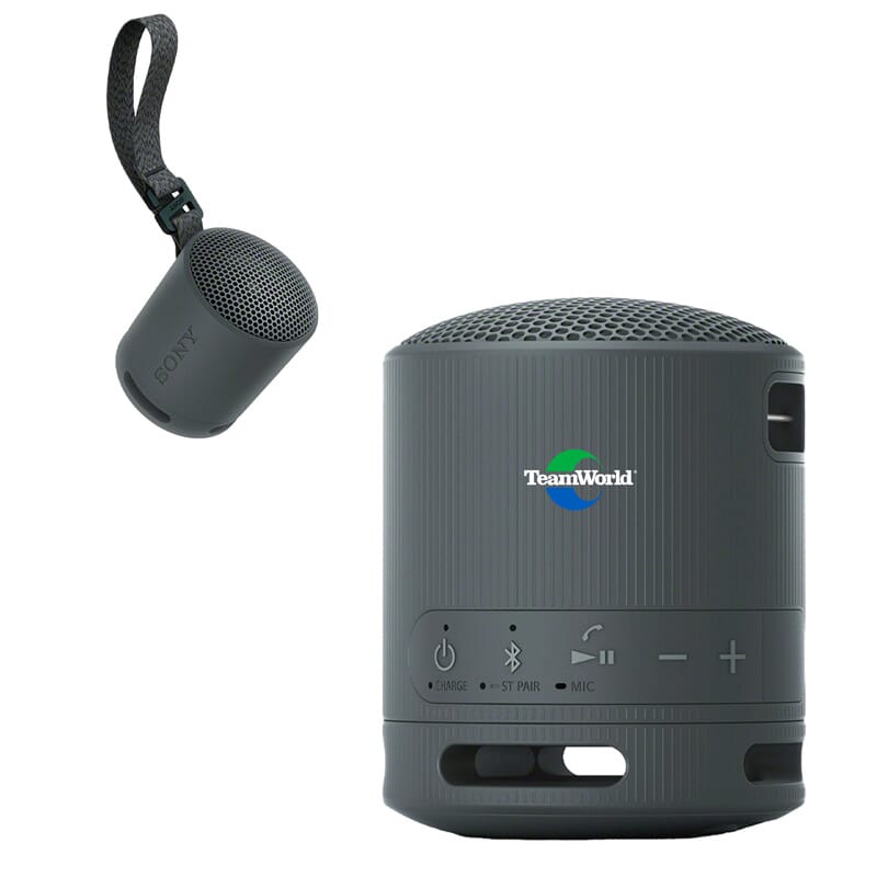 TeamWorld Sony SRS-XB100 Bluetooth Speaker